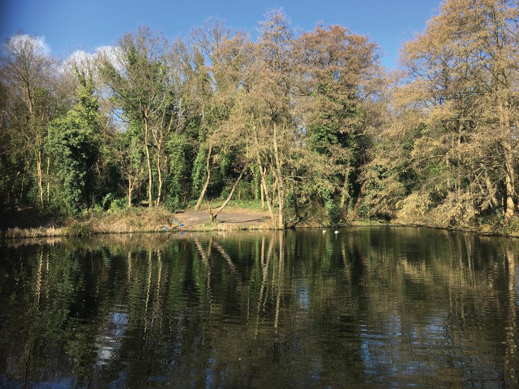 Lot: 24 - WOODLAND EXTENDING TO APPROXIMATELY 10 ACRES - Historic Image of Lake Kemnal Lane Provided by Hunters